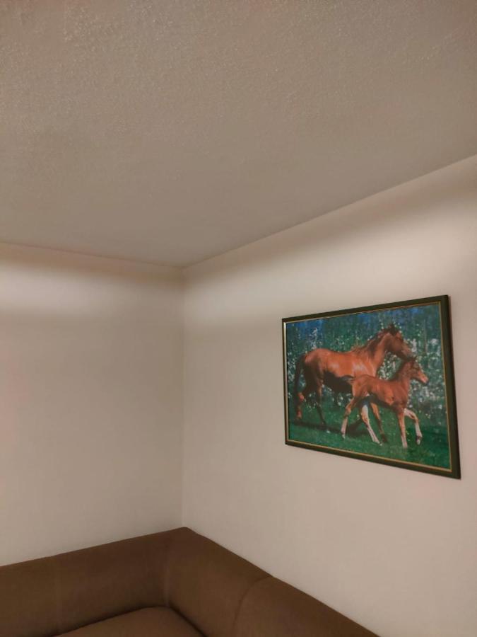 Apartament 6 Osobowy Szklarska Poręba Exterior foto